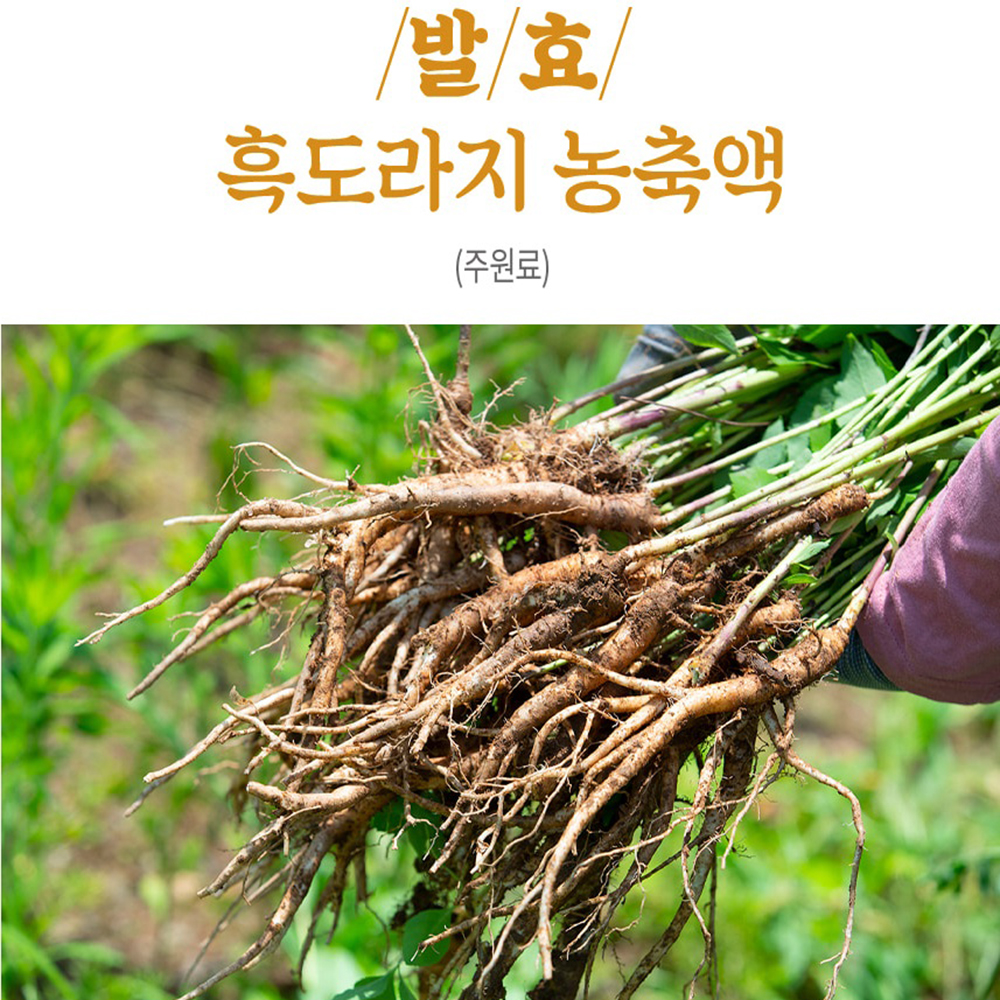 고려 흑삼 흑도라지청 스틱 발효 흑도라지 진액고 액기스 구증구포 효능 - 상세 이미지 2