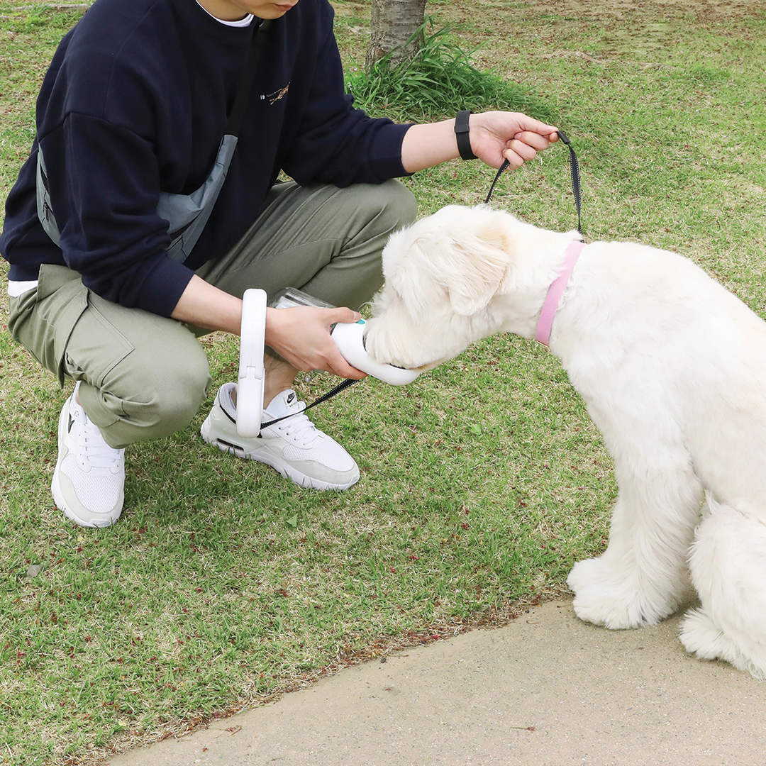 일체형목줄 강아지 대형견 자동 리드줄 이미지 8