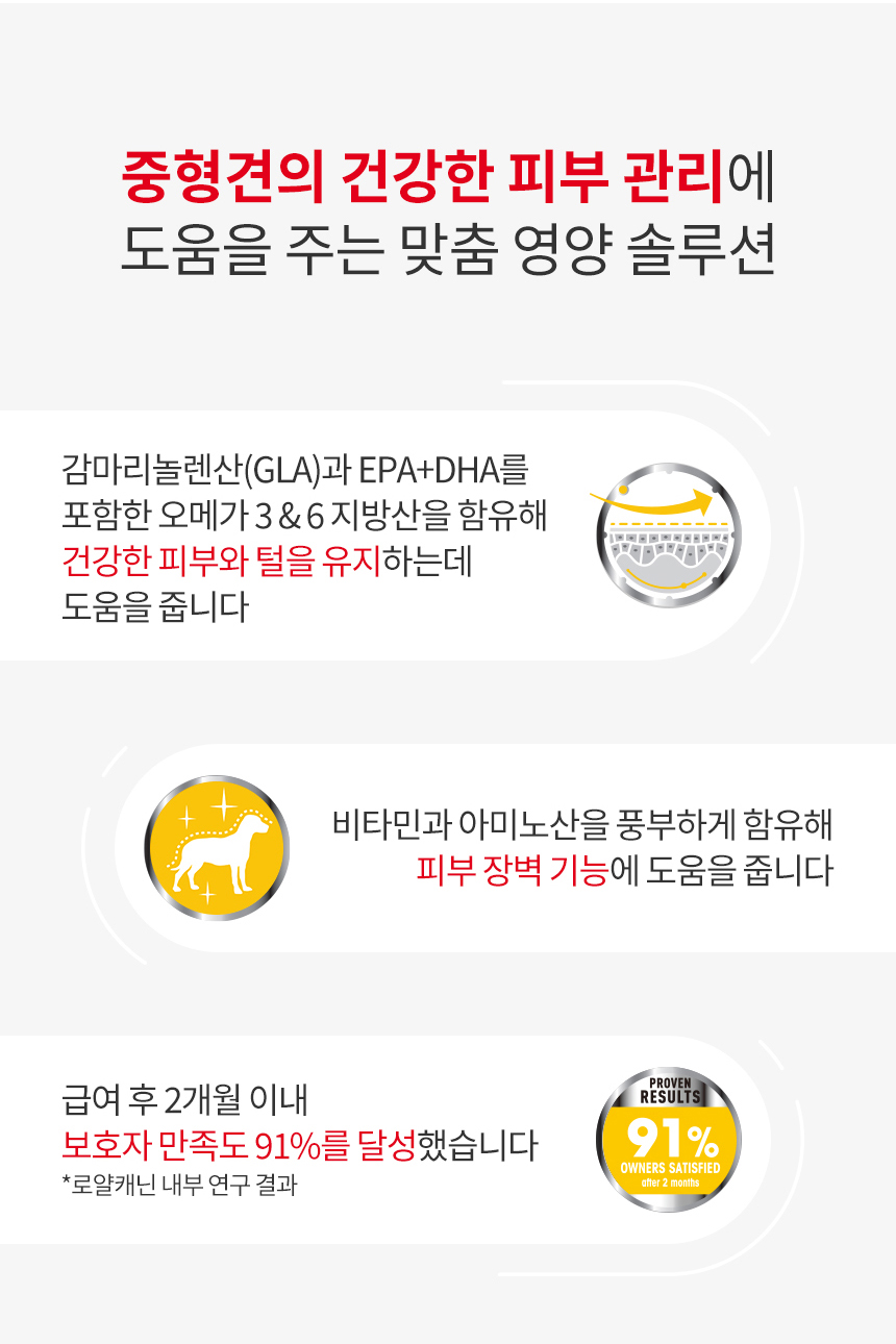 로얄캐닌 독 미디엄 더마컴포트, 12kg, 1개 이미지 8