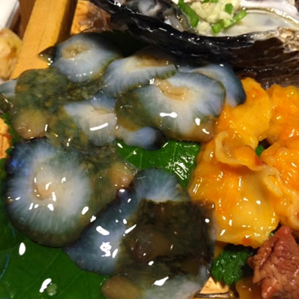 [통영직송 -무배]통영 자연산 활 해삼 500g 집에서 즐기는 해삼회 초간편 손질 바다인삼 이미지 6