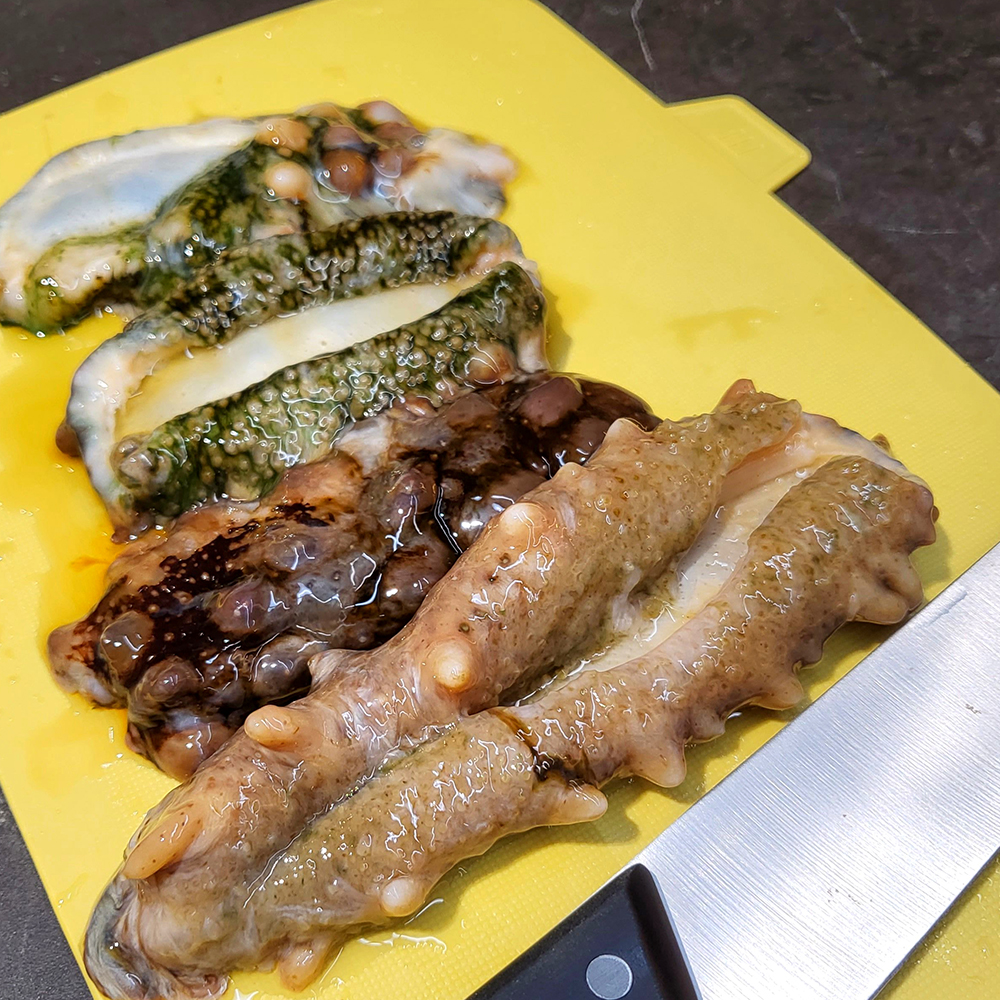 [통영직송 -무배]통영 자연산 활 해삼 500g 집에서 즐기는 해삼회 초간편 손질 바다인삼 - 상세 이미지 5