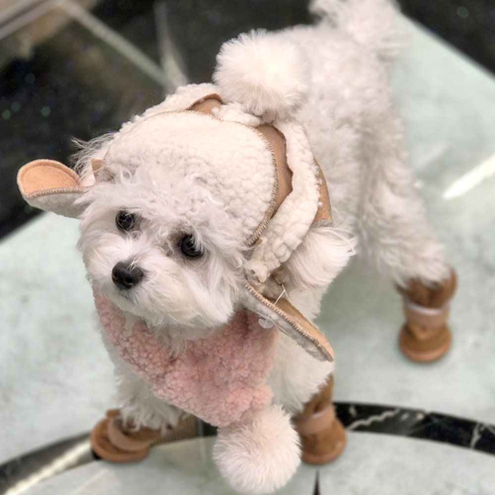 댕냥이 군밤 양털 모자 강아지 고양이 귀도리 반려동물 겨울