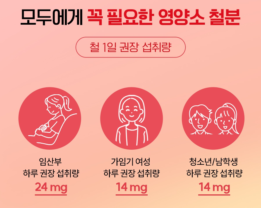 임신 준비 철분제 식물성 비헴철 철분 헤모글로빈 4개 - 상세 이미지 5