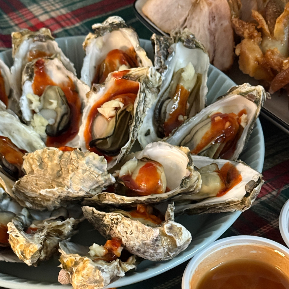 산지직송 제철 석화 각굴 석굴 굴 석화찜 세척 5kg 10kg - 메인 이미지