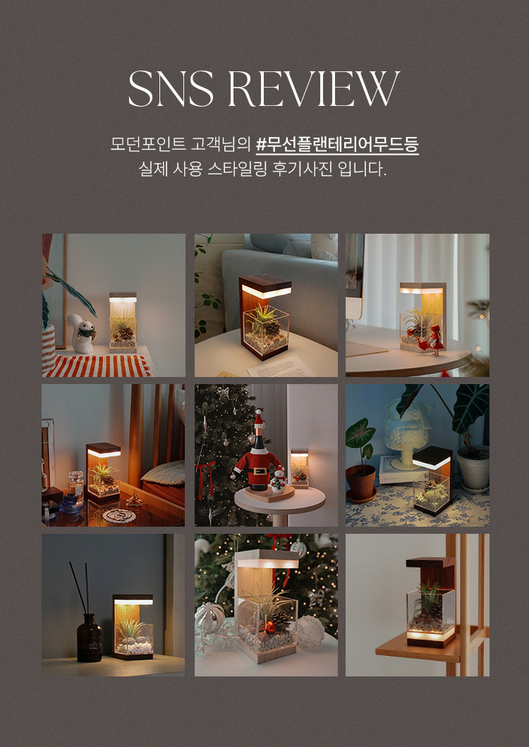 원목 플랜테리어 식물 LED 무선 무드등 집들이선물 네추럴베이지 이오난사기본 판매처 상세 정보 이미지 2