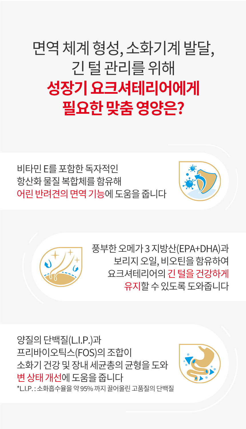 [유통기한 임박 26.01.15] 로얄캐닌 독 요크셔테리어 퍼피, 1.5kg, 1개 이미지 8