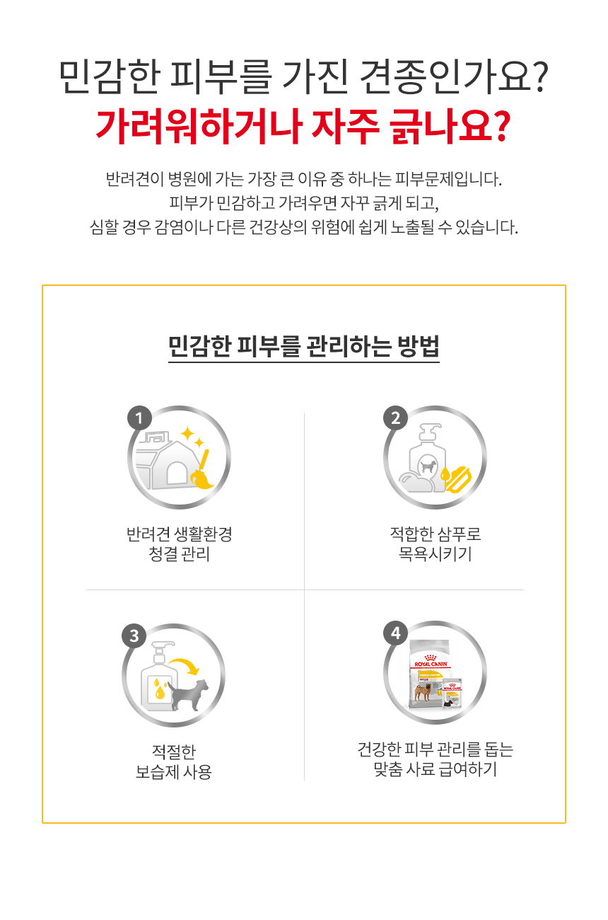 로얄캐닌 독 미디엄 더마컴포트, 12kg, 1개 이미지 7