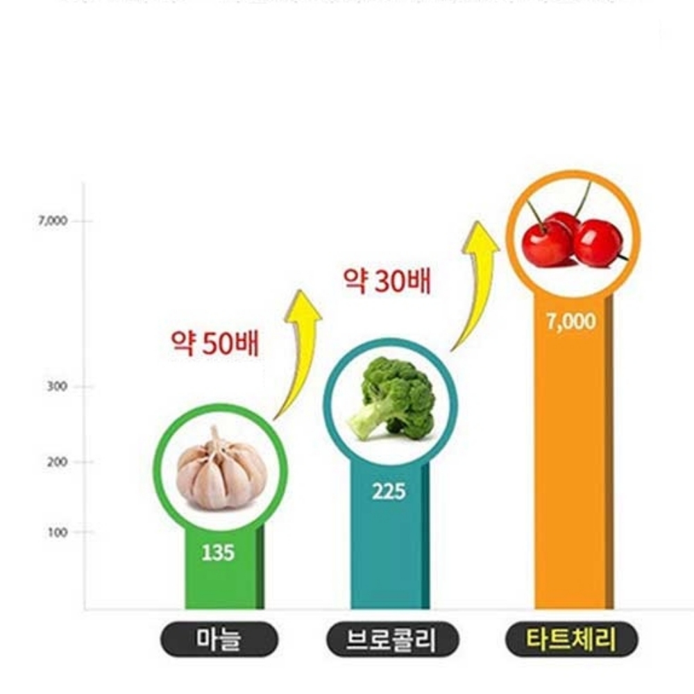 타트체리원액 클렌즈 쥬스 몽모랑시 체리즙 선물용 - 상세 이미지 4