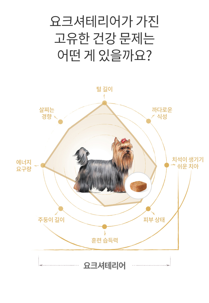[유통기한 임박 26.01.15] 로얄캐닌 독 요크셔테리어 퍼피, 1.5kg, 1개 이미지 7