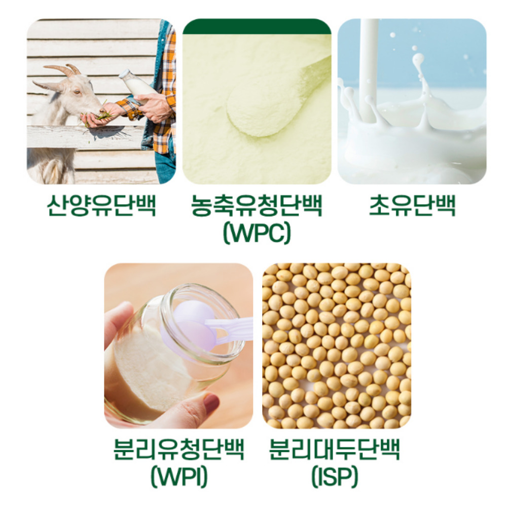 초유 산양유단백질 분말 스틱 60포 - 상세 이미지 4