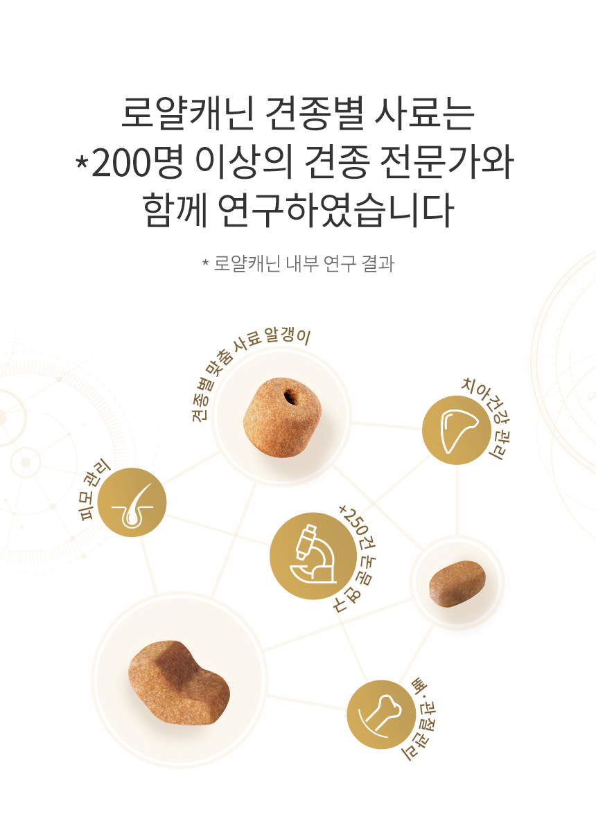 [유통기한 임박 26.01.15] 로얄캐닌 독 요크셔테리어 퍼피, 1.5kg, 1개 이미지 6