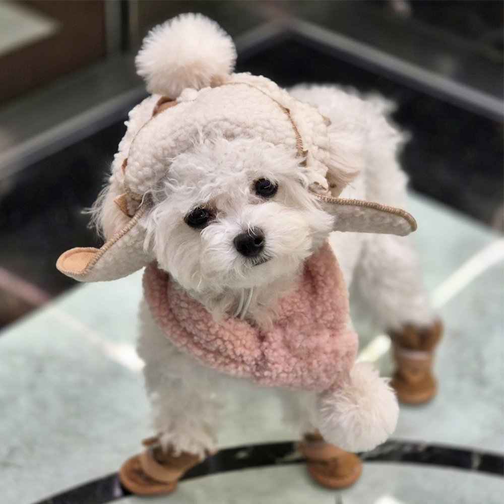 댕냥이 군밤 양털 모자 강아지 고양이 귀도리 반려동물 겨울