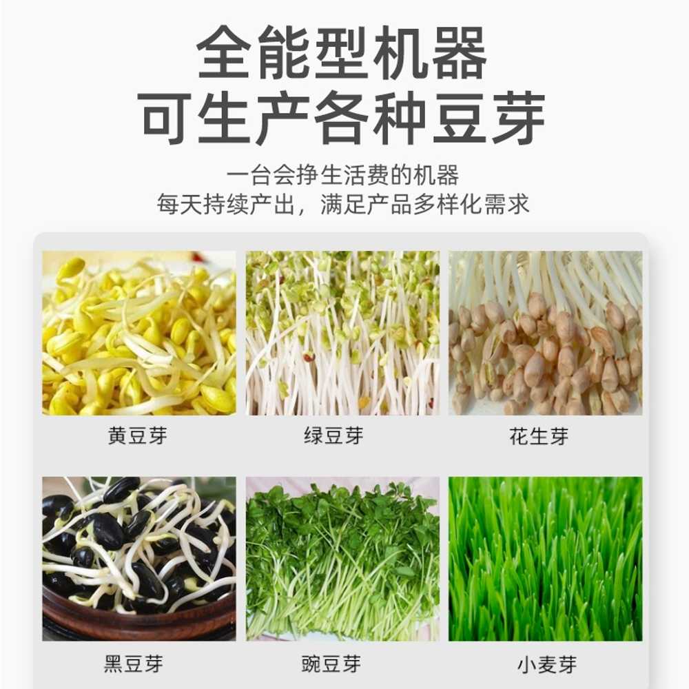 업소용 콩나물 재배기 숙주 키우기 자동 새싹 발아기 - 상세 이미지 3