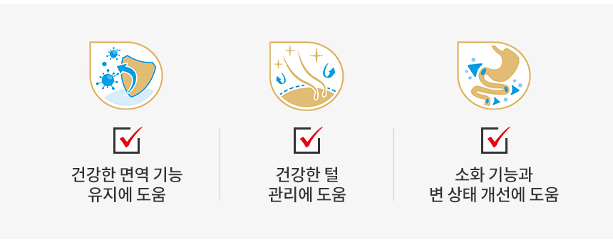 [유통기한 임박 26.01.15] 로얄캐닌 독 요크셔테리어 퍼피, 1.5kg, 1개 - 상세 이미지 5