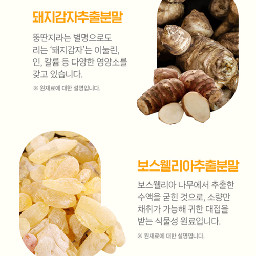 참굿즈 난각막 엘라스틴 가수분해물 60정 2병 4개월 수용성 NEM 관절 연골 건강 효능 - 상세 이미지 5