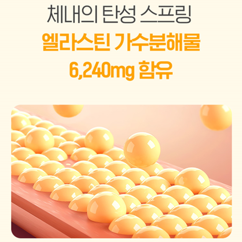 참굿즈 난각막 엘라스틴 가수분해물 60정 1병 2개월 수용성 NEM 관절 연골 건강 효능 이미지 6