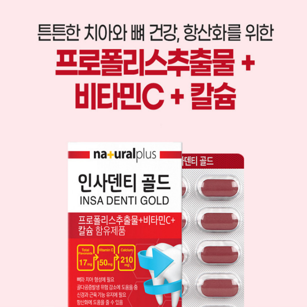 인사덴티 골드 프로폴리스추출물 6개월분 이미지 6