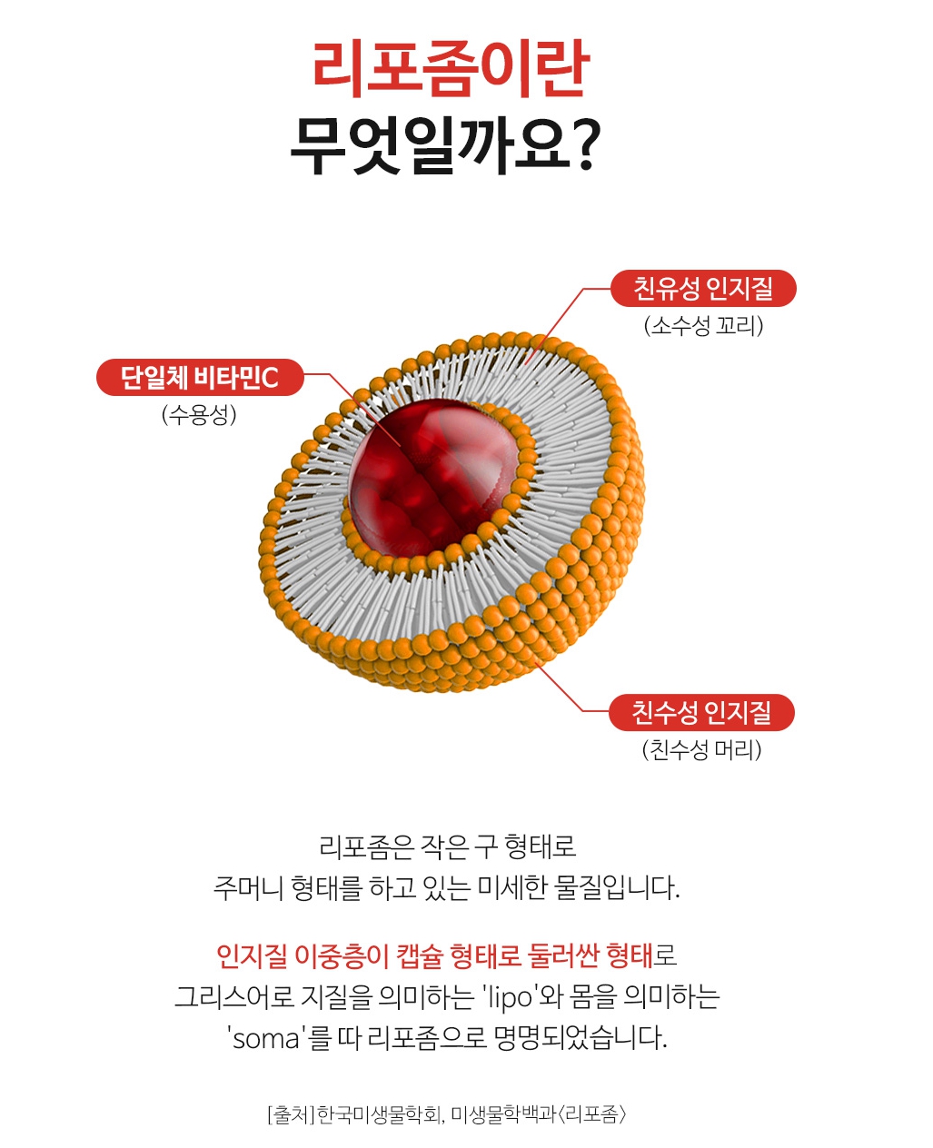 2+2 리포좀비타민c 효과 비타민씨 알약 1300mg 이미지 3