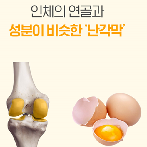 참굿즈 난각막 엘라스틴 가수분해물 60정 2병 4개월 수용성 NEM 관절 연골 건강 효능 - 상세 이미지 4