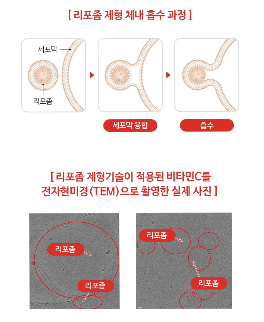 2+2 리포좀비타민c 효과 비타민씨 알약 1300mg 이미지 4