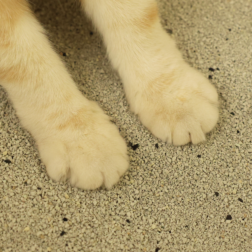 1+1 모래혁명 이노베이션 먼지없는 고양이모래 벤토나이트 7kg