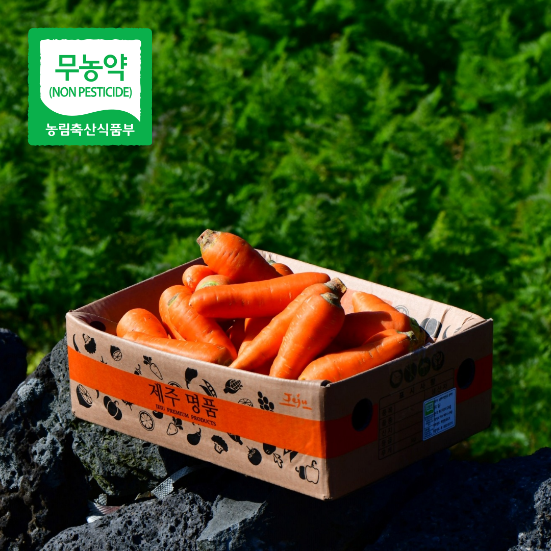 제주 구좌 당근 무농약 세척당근 스낵용  (소) 100g 내외 3kg, 1개 - 상품 이미지