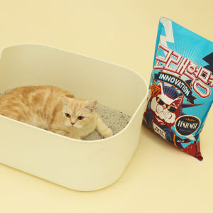1+1 모래혁명 이노베이션 먼지없는 고양이모래 벤토나이트 7kg 솔직 후기 | 실제 사용자 리뷰 총정리 - 상품 이미지 3