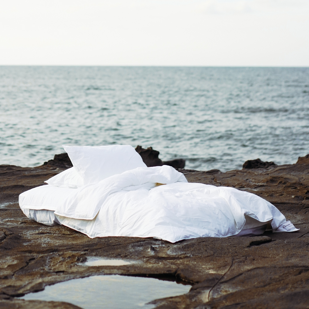 클래식패브릭 알러지케어 폴란드 90% 여름구스이불 SS