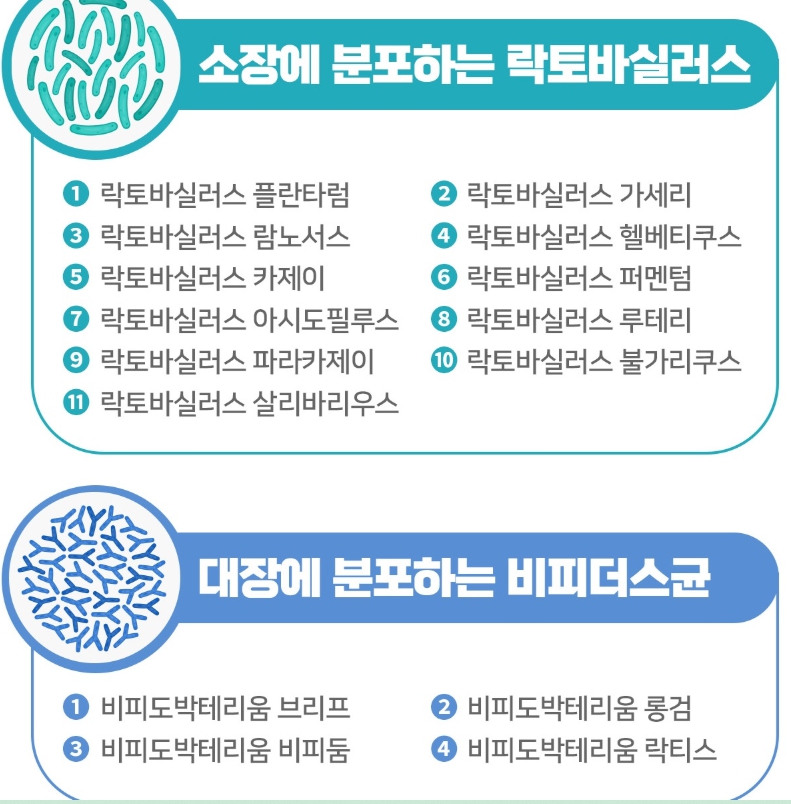 포스트바이오틱스 프리바이오틱스 유산균 3박스 장건강 이미지 8
