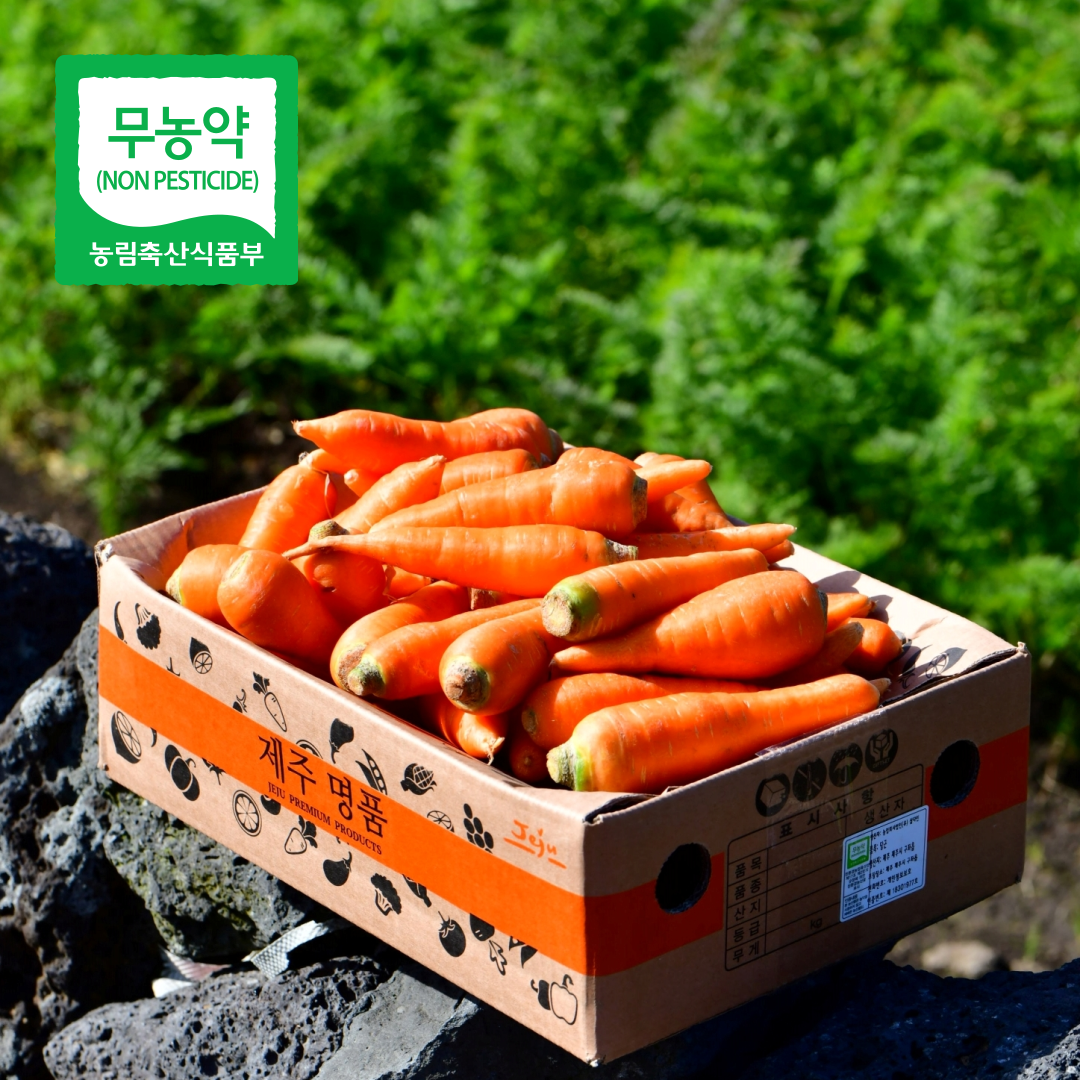 제주 구좌 당근 무농약 세척 당근 스낵용 꼬마당근 70g 내외 3kg, 1개 - 상품 이미지