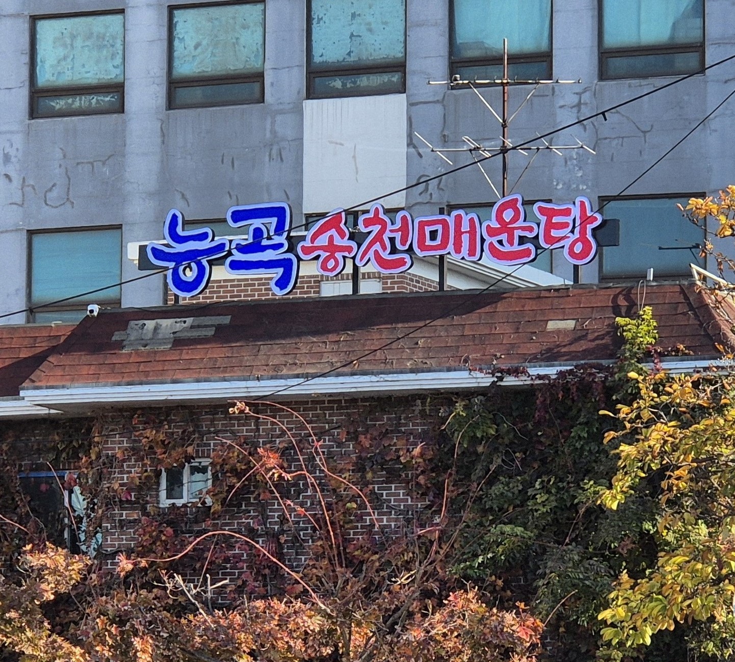 메기매운탕 겨울뜨끈한 국물 밀키트 능곡송천매운탕 2인분 이미지 7