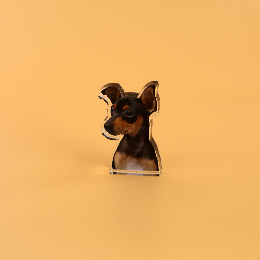 사진액자 아크릴 포토테이블 소형 탁상용 인테리어 사진 미니액자