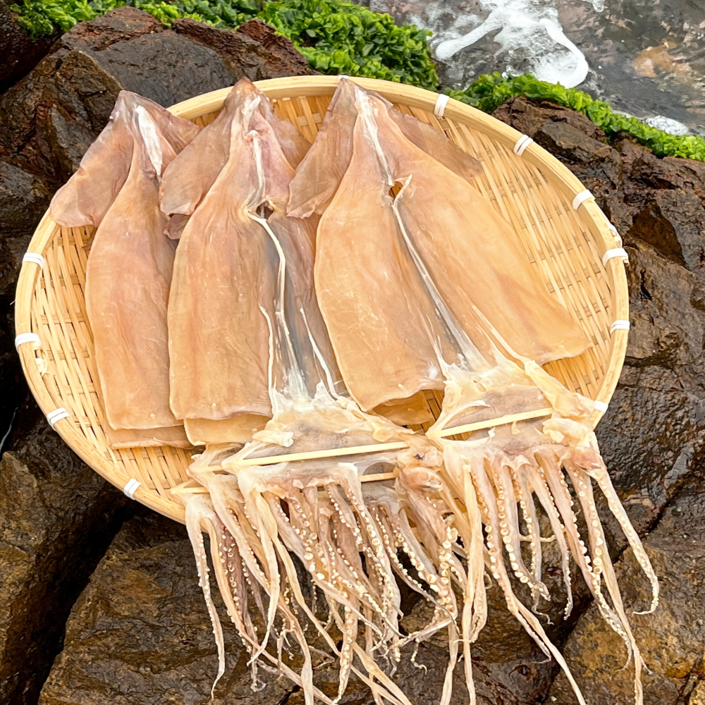 마른오징어 건오징어 특대 1kg 10미 : 영주수산