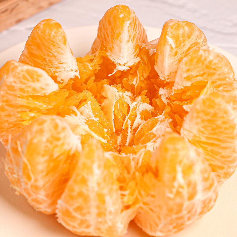 제주 레드향 직배송 프리미엄 가정용 선물세트