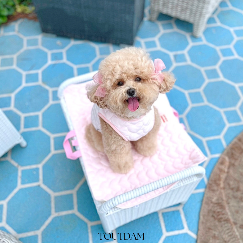 강아지산책매트 휴대용 거실 펫매트 강아지 고양이 이동가방 유모차 담요 - 상세 이미지 3
