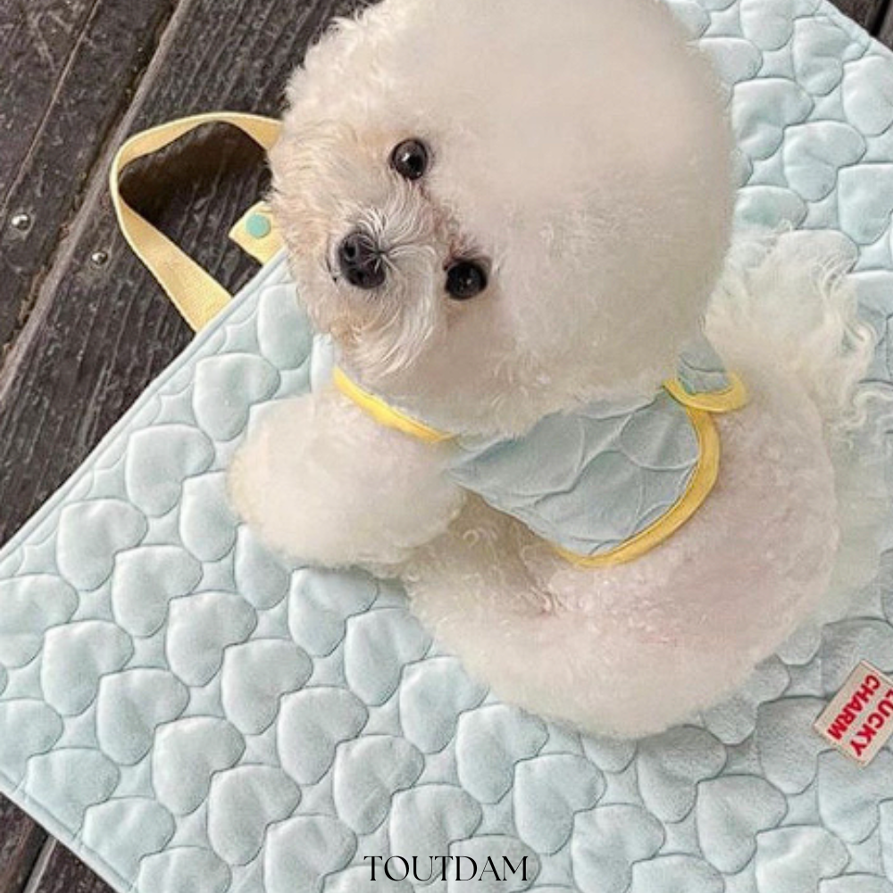 강아지산책매트 휴대용 거실 펫매트 강아지 고양이 이동가방 유모차 담요 - 상세 이미지 4