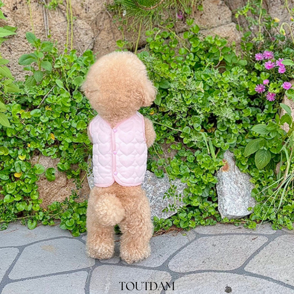 강아지 할머니조끼 xs 고양이 할매 누빔 조끼 강아지 겨울 옷 말티푸 초소형견 - 상세 이미지 2
