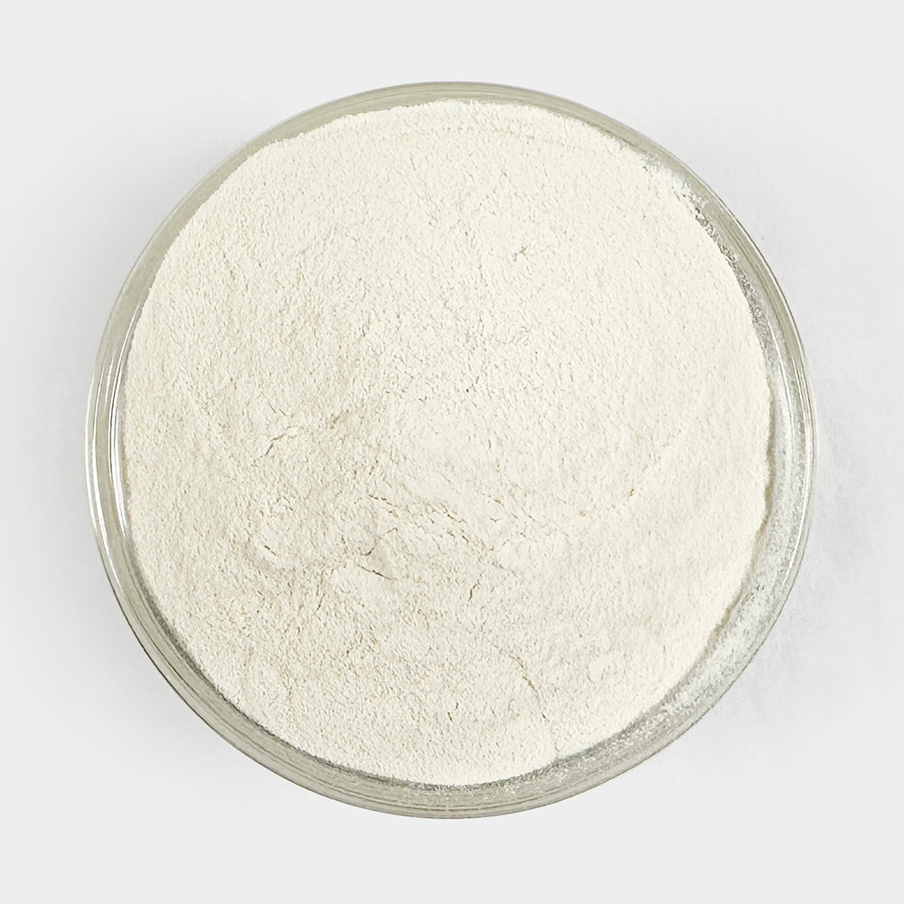 국산 와사비잎 추출물 분말 가루 500g - 상세 이미지 3
