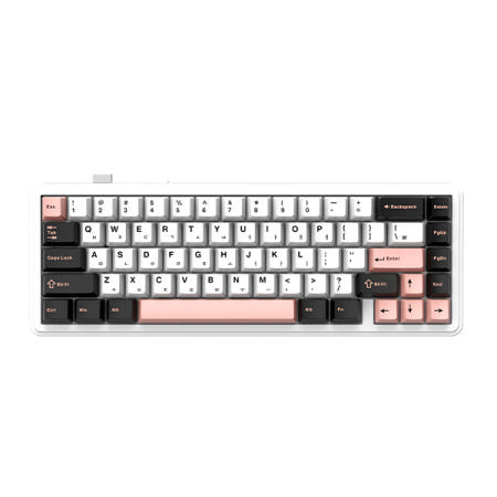 AULA F65 유무선 독거미 한글 기계식 키보드 펀키스 국내 정품 올리비아 화이트, LEOBOG 세이야축