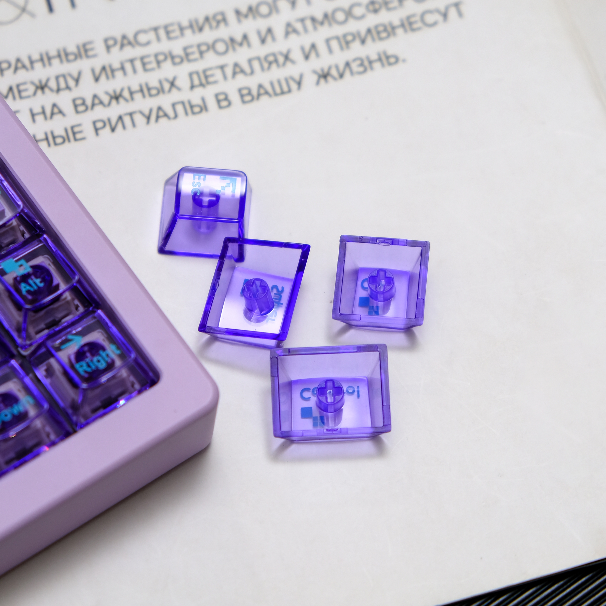 아이페이 네온 클리어 투명 키캡 퍼플 PC 키캡 LED 독거미 기계식 키보드 용 - 상세 이미지 4