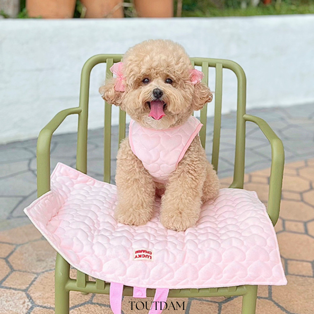 강아지산책매트 휴대용 거실 펫매트 강아지 고양이 이동가방 유모차 담요 - 상세 이미지 2