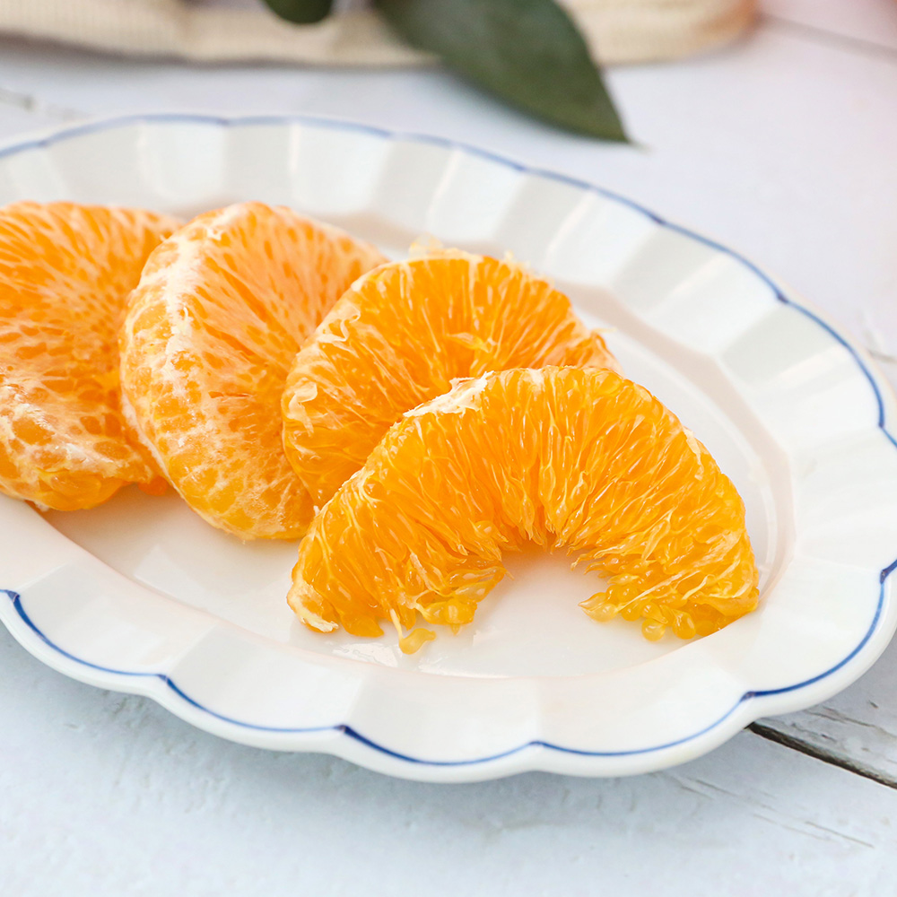 제주 레드향 직배송 프리미엄 가정용 선물세트