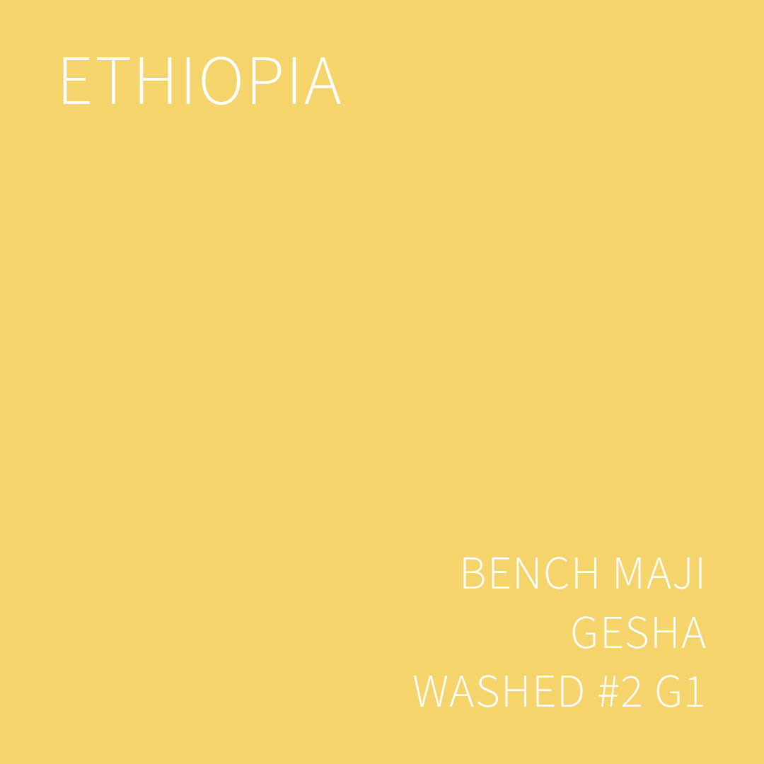 에티오피아 벤치 마지 게샤 워시드 #2 G1 5KG (ETHIOPIA BENCH MAJI GESHA WASHED #2)