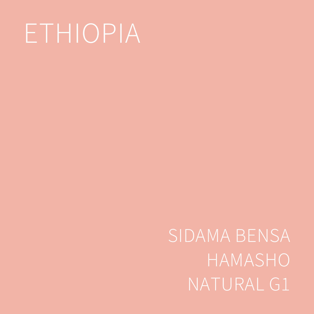 에티오피아 시다마 벤사 하마쇼 내추럴 G1 5KG (ETHIOPIA SIDAMA BENSA HAMASHO NATURAL)