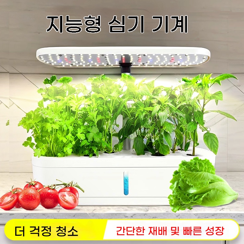 리치판다 식물재배기 수경재배기 식물재배기 수경식물 가정용스마트팜 식물키우기키트 미니화분 : 리치판다코리아
