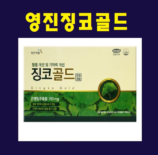 영진약품 징코골드 120캡슐 : 지앤유 GU