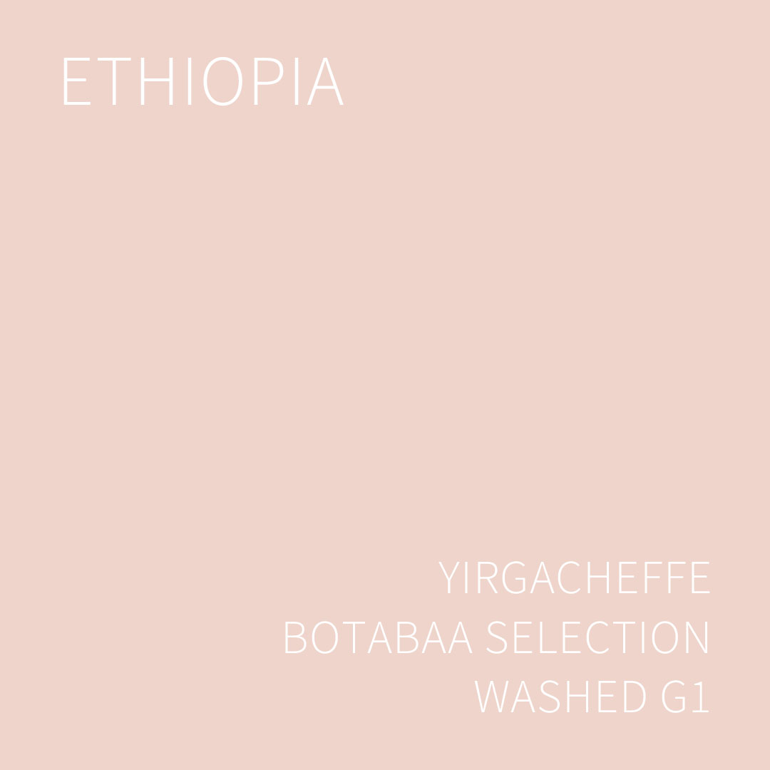 에티오피아 예가체프 보타바 셀렉션 워시드 G1 5KG (ETHIOPIA YIRGACHEFFE BOTABAA SELECTION WASHED)