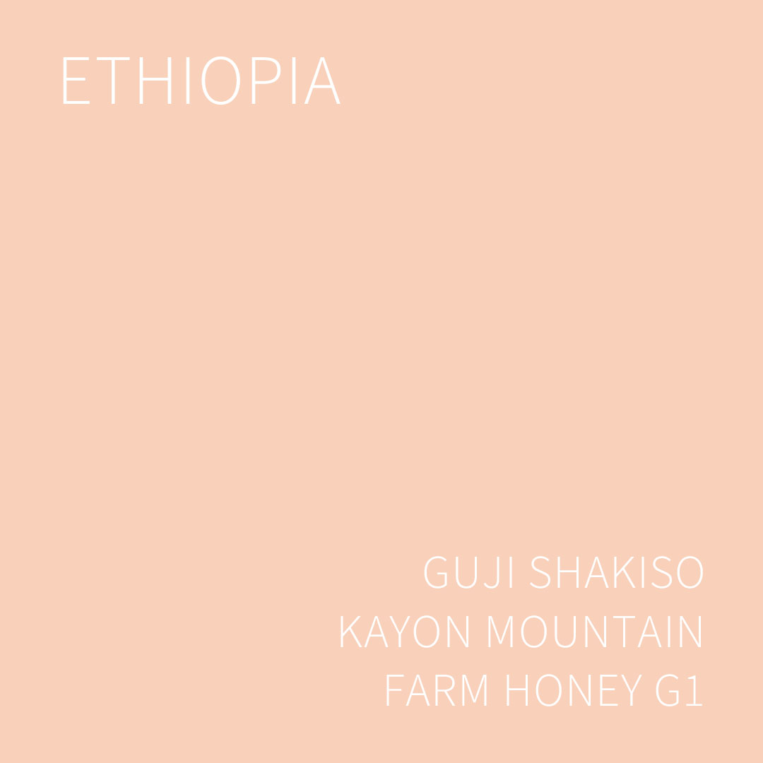 에티오피아 구지 샤키소 카욘 마운틴 팜 허니 G1 5KG (ETHIOPIA GUJI SHAKISO KAYON MOUNTAIN FARM HONEY)