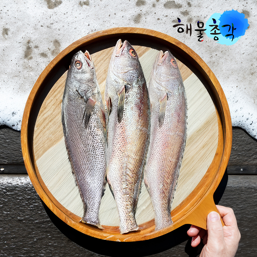 해물총각 민어 매운탕 민어탕 제수용 반건조 생선 제주민어 - 상세 이미지 5