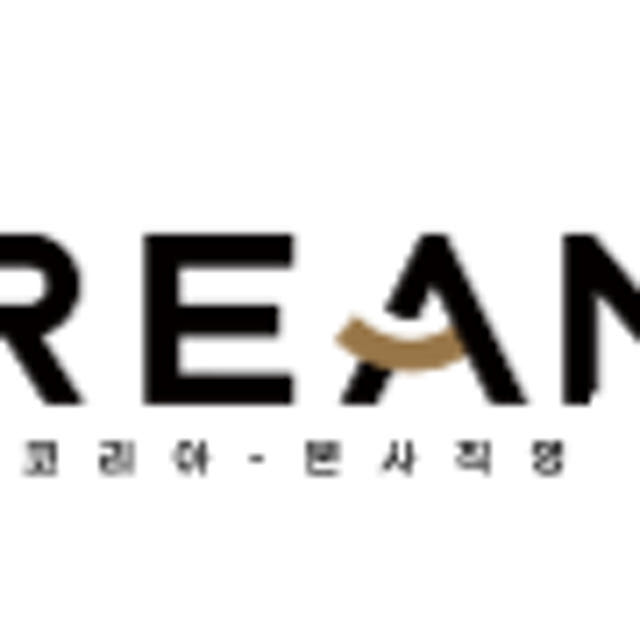 드리미 Pocket 접이식 헤어드라이어 여행용 포켓 초고속 음이온
